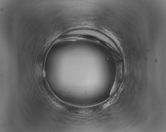 X0000078000105200611031455