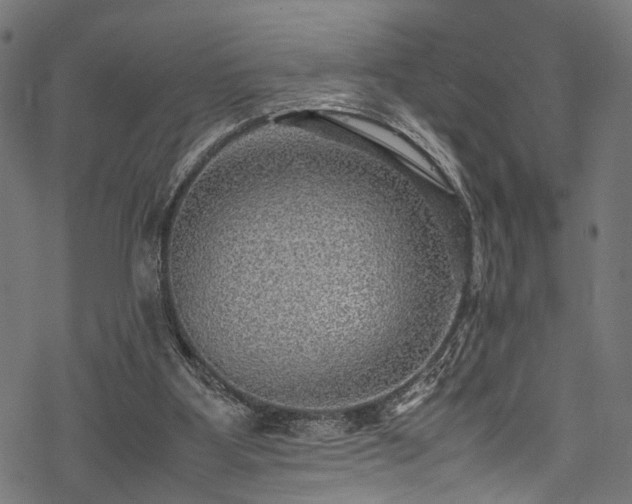 X0000078000107200611031455
