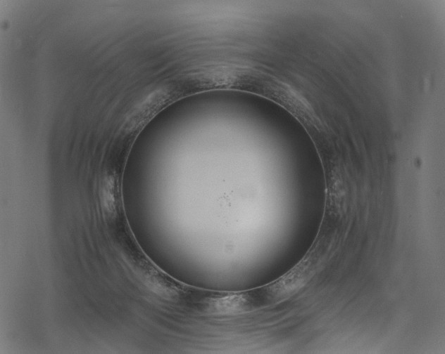 X0000078000122200611031455