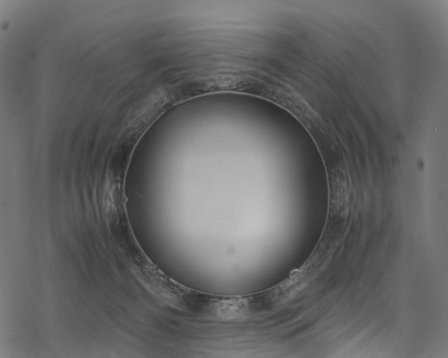 X0000078000126200611031455