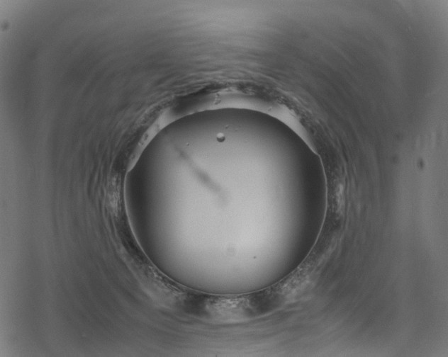 X0000078000129200611031455