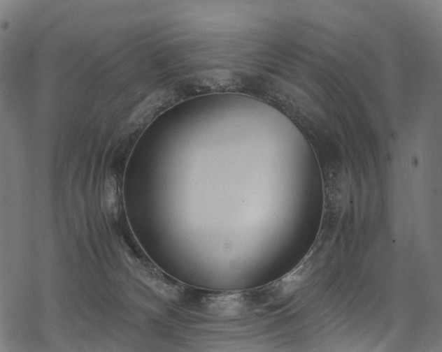 X0000078000132200611031455