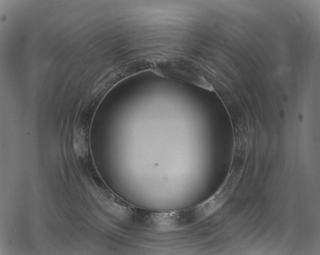 X0000078000136200611031455