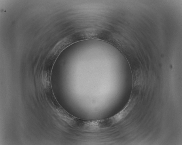 X0000078000140200611031454