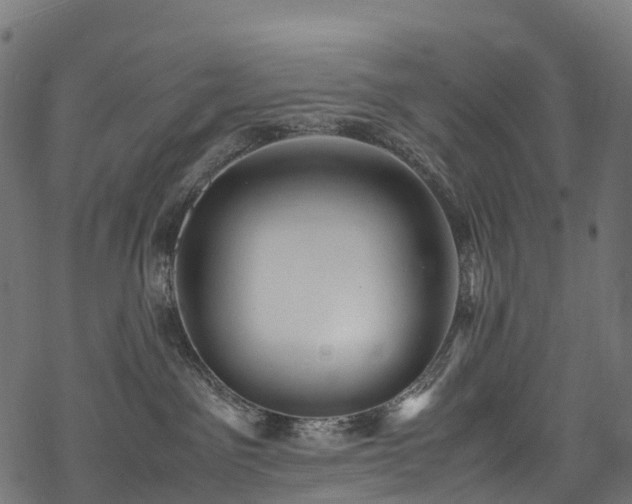 X0000078000141200611031454