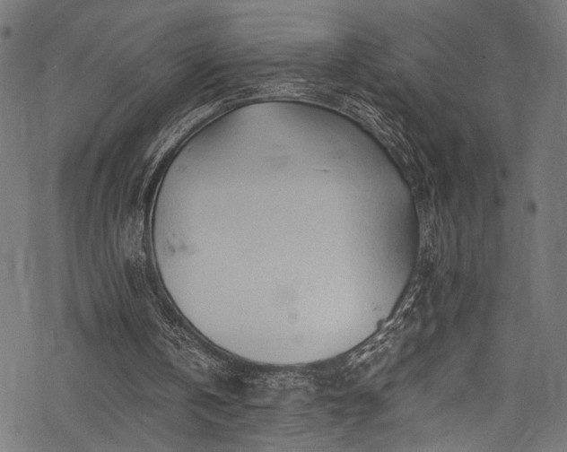 X0000078000146200611031454