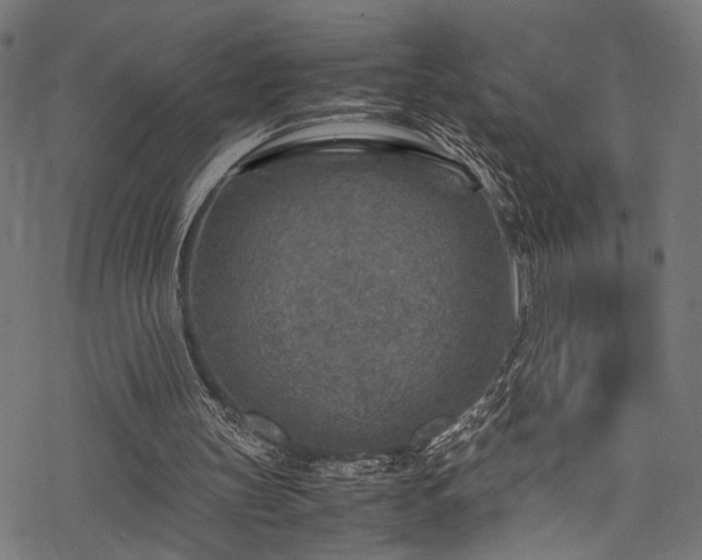 X0000078000147200611031454