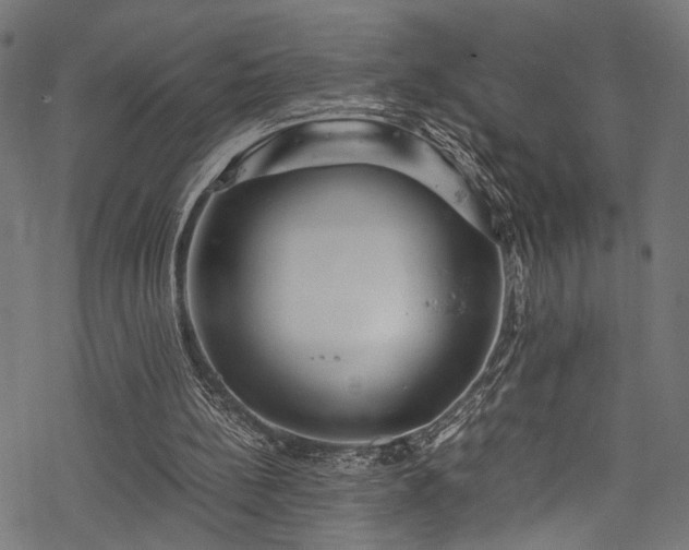 X0000078000148200611031454