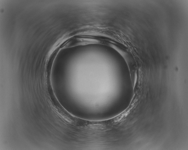 X0000078000150200611031454