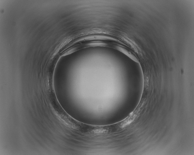 X0000078000158200611031454