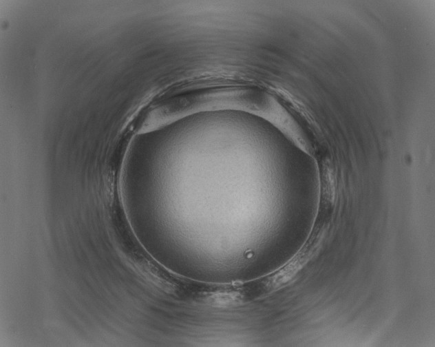 X0000078000168200611031454