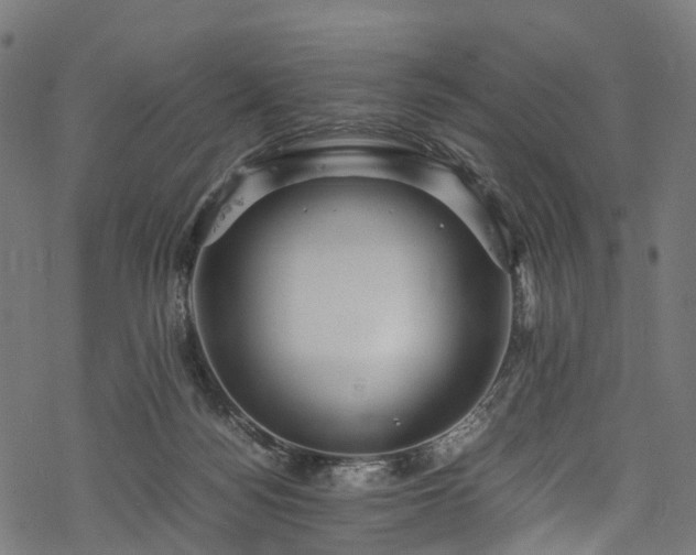 X0000078000172200611031454