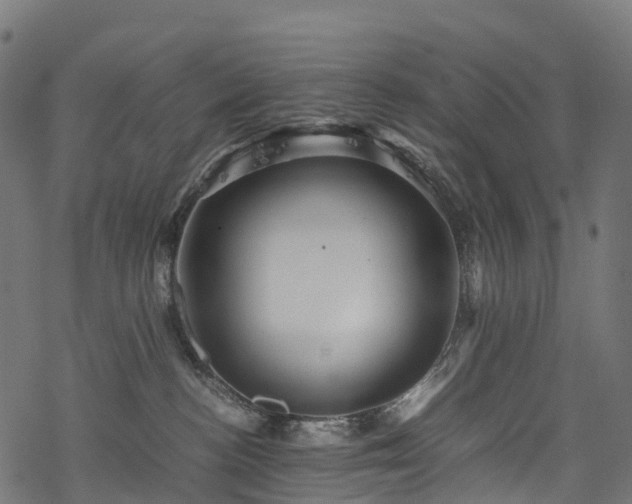 X0000078000188200611031454