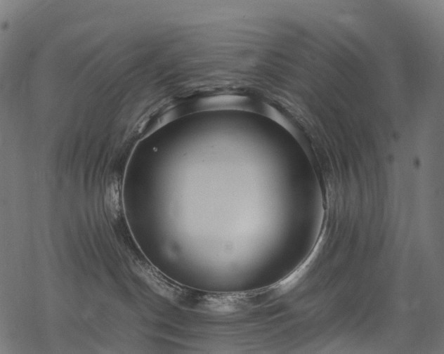 X0000078000190200611031454
