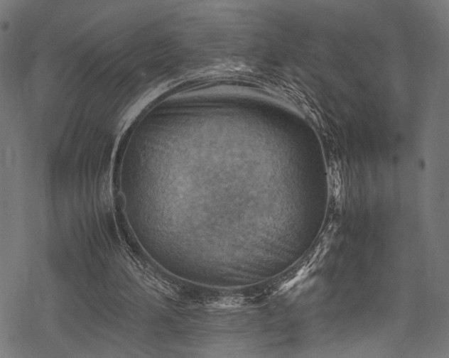 X0000078000196200611031454
