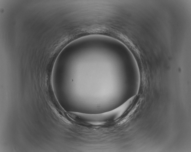 X0000078000201200611031454