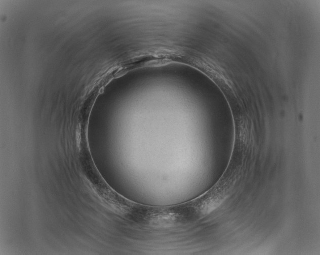 X0000078000206200611031453