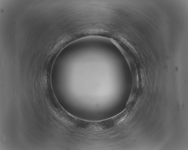 X0000078000207200611031453