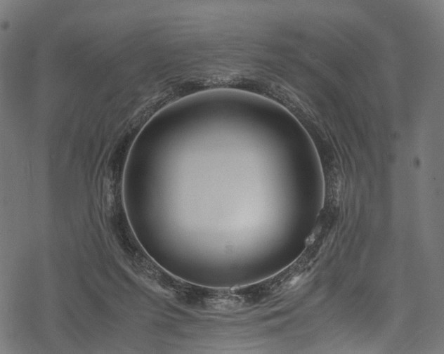 X0000078000215200611031453