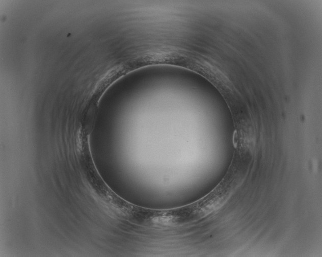 X0000078000216200611031453