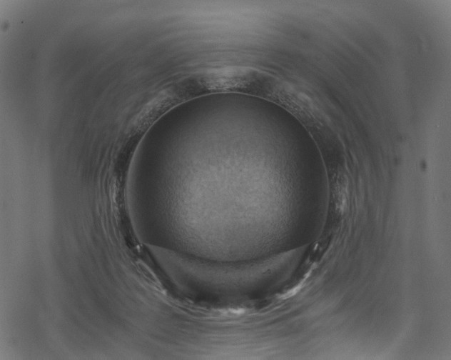 X0000078000219200611031453