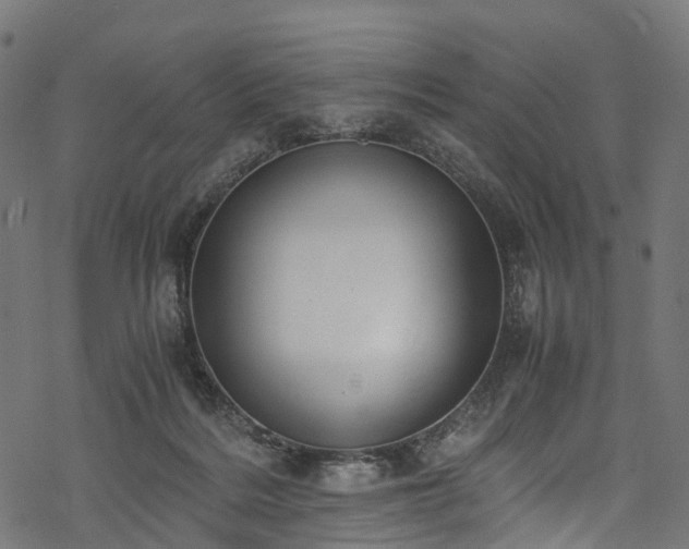 X0000078000220200611031453