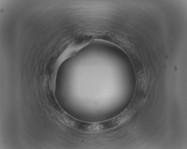 X0000078000225200611031453