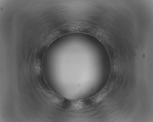 X0000078000226200611031453