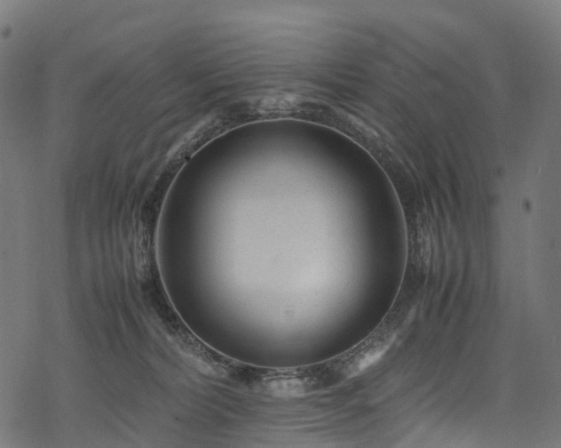 X0000078000228200611031453