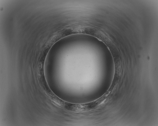 X0000078000229200611031453