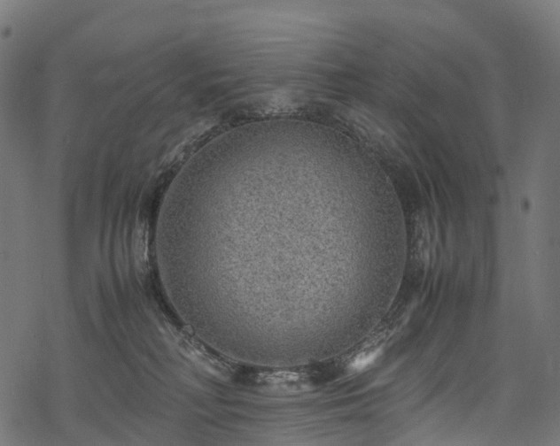 X0000078000230200611031453