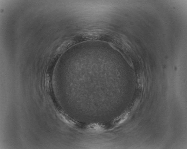 X0000078000231200611031453