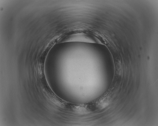 X0000078000232200611031453