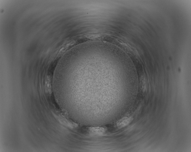 X0000078000234200611031453