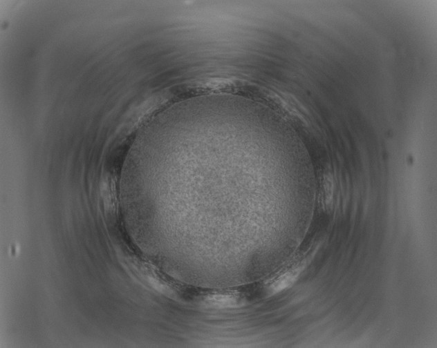 X0000078000236200611031453