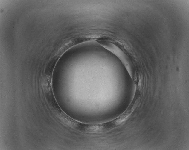 X0000078000237200611031453