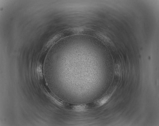 X0000078000238200611031453