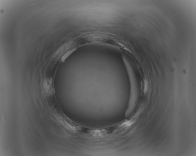 X0000078000239200611031453