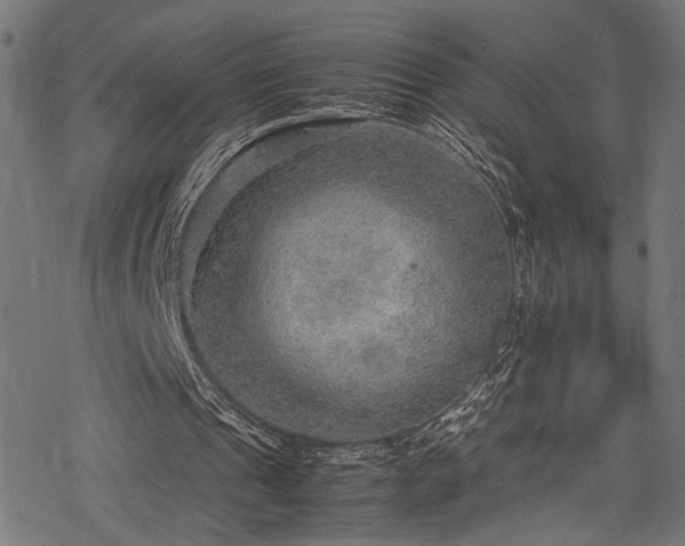 X0000078000241200611031452