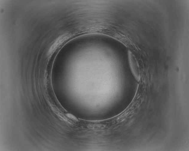 X0000078000242200611031452