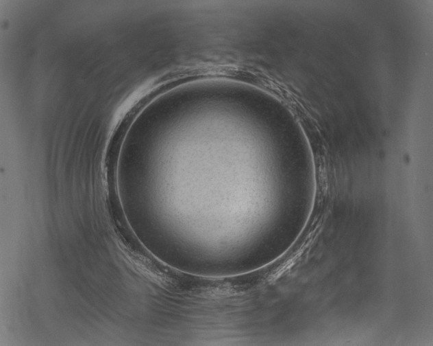 X0000078000246200611031452