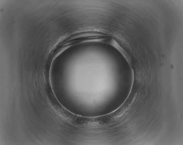 X0000078000256200611031452