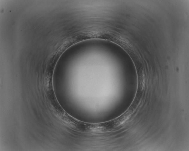X0000078000268200611031453