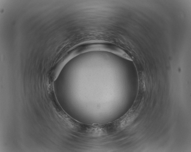 X0000078000276200611031453