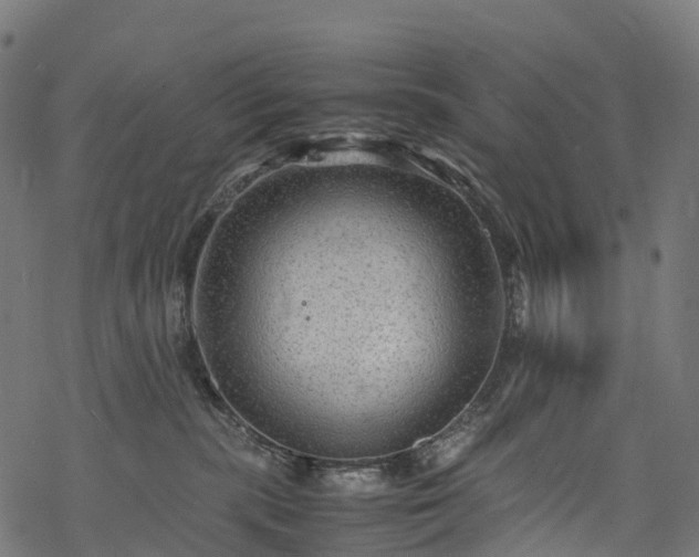 X0000078000283200611031453