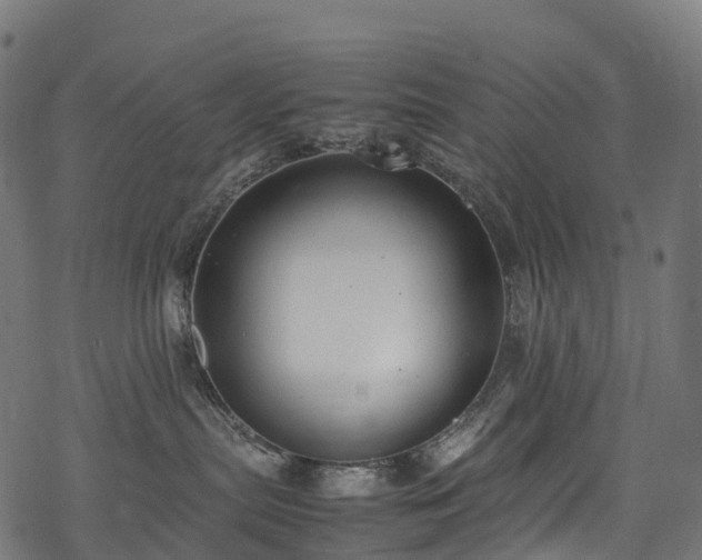 X0000078000287200611031453