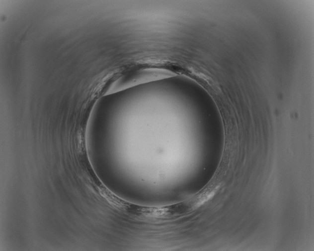 X0000078000288200611031453