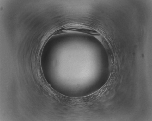 X0000078000289200611031452