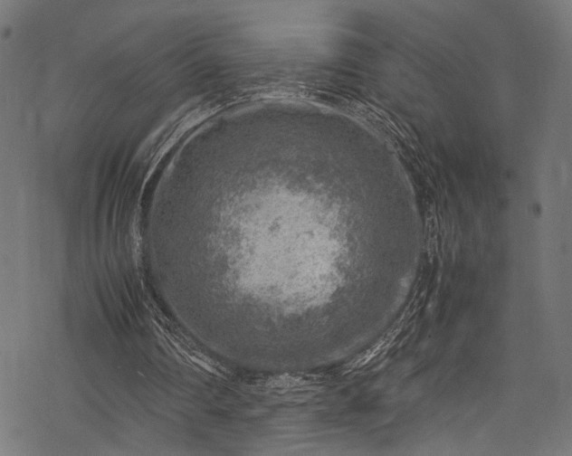X0000078000290200611031452