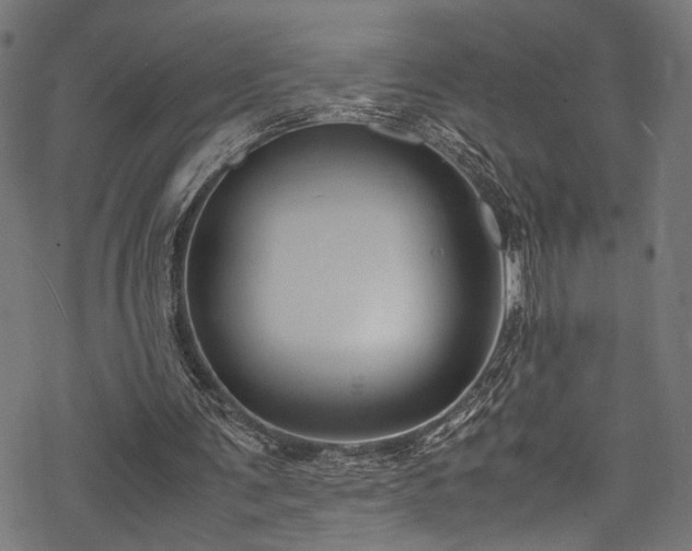 X0000078000291200611031452